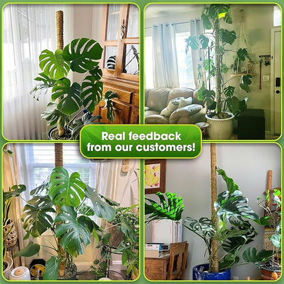 DUSPRO 80 Inches Large Moss Pole for Plants Monstera, Plant Stakes for Indoor Plants, Monstera Plant Support, Plant Support/Plant Pole for Big Climbing Plants Indoor (1pc., 80'')