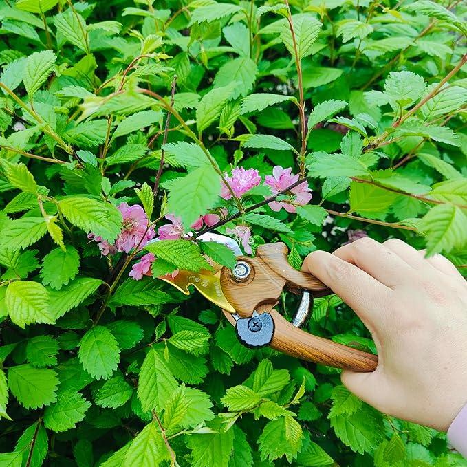 Gardening Tool Set Including Hand Trowel, Transplant Trowel, Cultivator Hand Rake, Pruning Shears and Weeder, Non-Slip Rubber Grip (5 pcs Green)