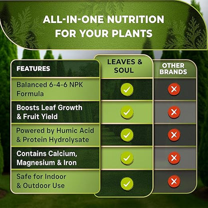Leaves and Soul Professional Arbor Vitae Tree Fertilizer Liquid Concentrate - 6-4-6 Blend for Arbor Vitae, Garden Use - Liquid Plant Food for Arbor Vitae Trees and Shrubs Outdoors - 32oz