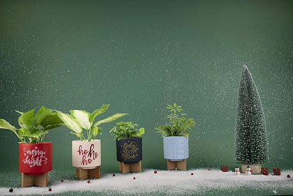 Ceramic Holiday Planter Pot, Ho Ho Ho Design, Creme & Red, Holds 4" House Plant or Succulent, Festive Winter Christmas Home Décor with Wood Stand