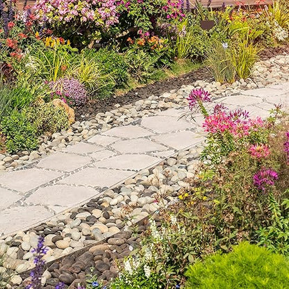 40lbs Large River Rocks for Landscaping, 2-3 Inch Natural Unpolished Bulk Pebbles, Hand-Picked Premium Stones for Garden Design Fish Tank, Flower Pots, Pathways and Backyard, Mixed Color