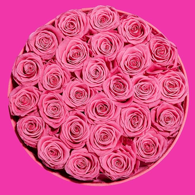 Perfectione Roses 27 Roses in a Box, Mothers Day Rose, Preserved Flowers for Her, Flowers for Delivery Birthday Gifts for Women (Velvet Pink)