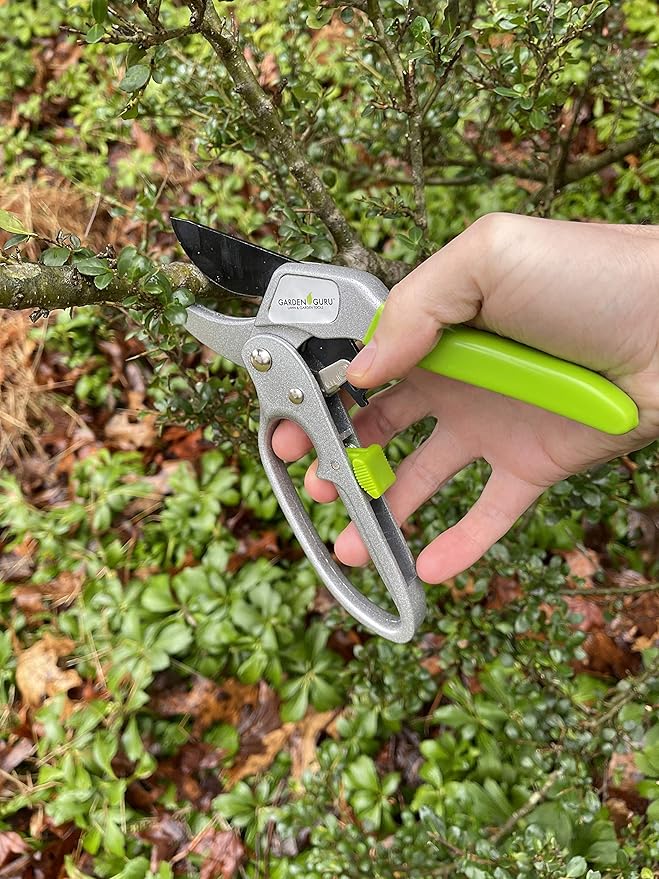 GARDEN GURU Professional Ratchet Pruning Shears Clippers – 4X Cutting Power – Ratcheting Garden Anvil Pruners Scissors - Makes Tough Cuts Easy - Ergonomic Handles - 1 Case (50 Pcs)