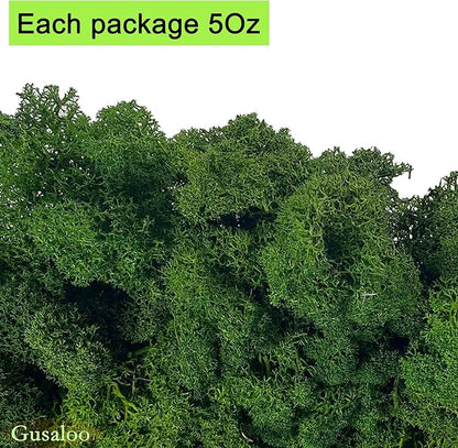Preserved 5oz Moss Artificial Moss Natural Fresh Green Moss for Craft Handicraft Arts Floral Project Wall Decor Table Decor Wedding Centerpieces Garden Terrariums Decoration-Green