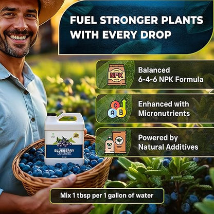 Leaves and Soul Professional Blueberry Fertilizer Liquid Concentrate - 6-4-6 Blend Liquid Garden Fertilizer for Blueberry - Plant Food for Blueberry Bushes and Plants - 32oz