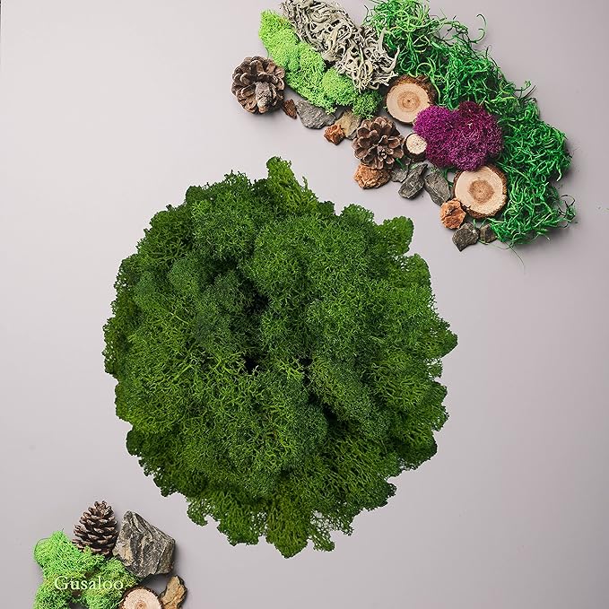 Preserved 5oz Moss Artificial Moss Natural Fresh Green Moss for Craft Handicraft Arts Floral Project Wall Decor Table Decor Wedding Centerpieces Garden Terrariums Decoration-Green