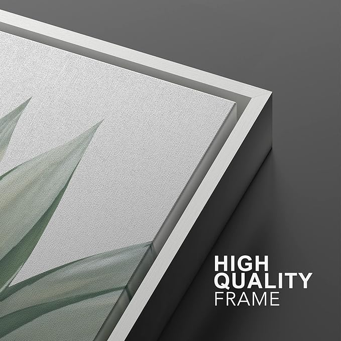 Ashbrook Framed Canvas Print Wall Art Set Green Desert Cactus Succulent Variety Nature Wilderness Photography Modern Art Minimal Chic Colorful for Living Room, Bedroom, Office - 16"x24"x3 White