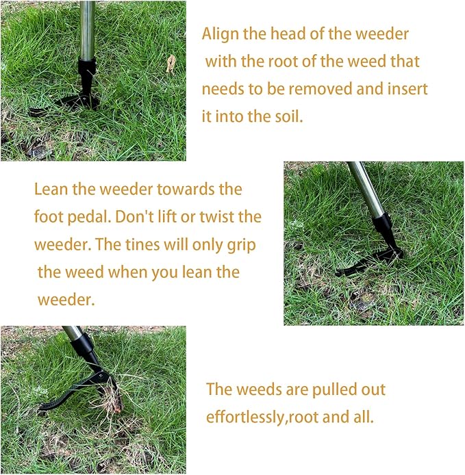 Weeder - Long-Handle Standing Weed Puller - 4-Claw Steel Head Weeder, Lawn/Yard-Specific Weed Removal Tool, Easily Remove Weeds Without Bending or Kneeling.