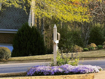 Greenwood Nursery: Live Ground-Cover Plants - Emerald Blue Creeping/Moss Phlox + Subulata - [Qty: 5X Pint Pots] - (Click for Other Available Plants/Quantities)