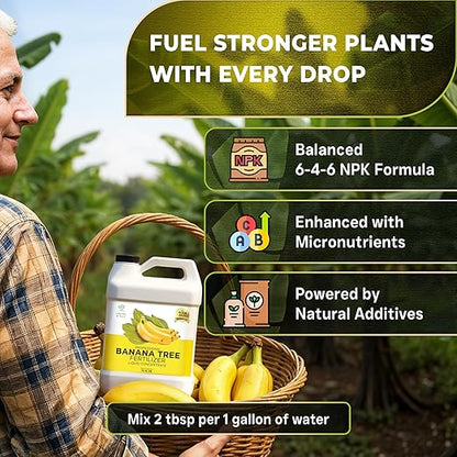 Leaves and Soul Professional Banana Tree Fertilizer Liquid Concentrate - 6-4-6 Blend for Fruit Tree Fertilizer, Garden - Liquid Plant Food for Banana Trees in Pots or Outdoors - 32oz
