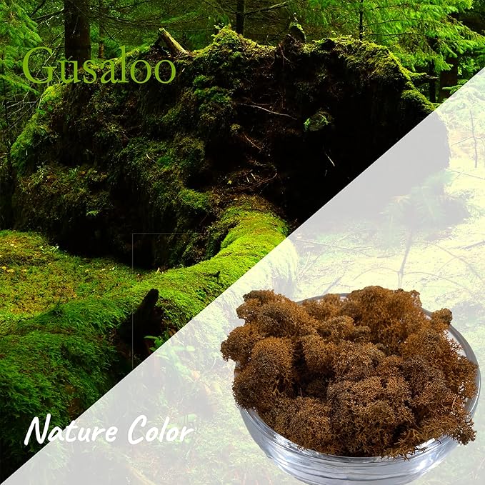 Moss Preserved Artificial Moss Natural Fresh Green Reindeer Moss for Craft Arts Floral Project Wall Decor Table Decor Wedding Centerpieces Garden Terrariums Decoration-Brown 3.5OZ