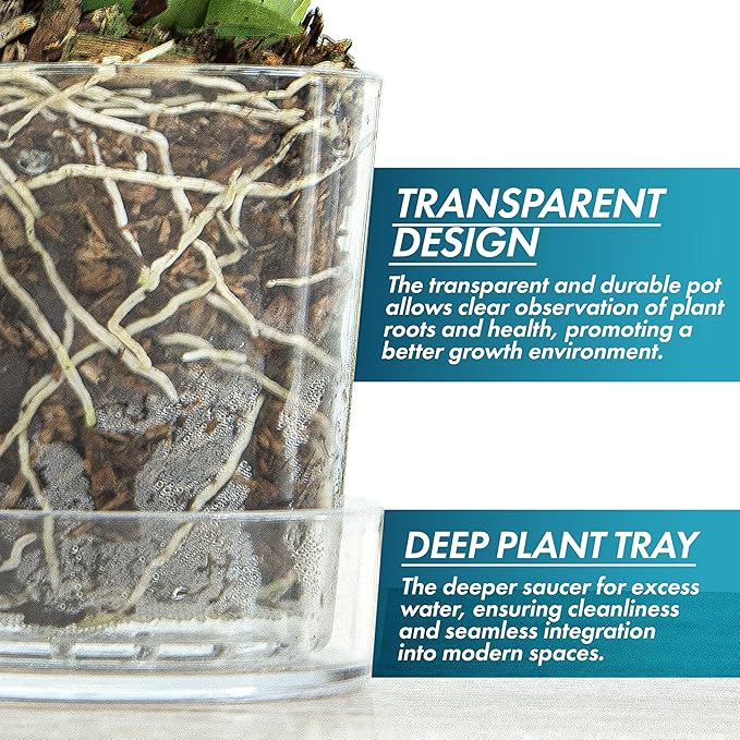 Phoenix Vine 3.5 Inch Clear Acrylic Planter Pot with Tray, Orchid Pot with Drainage Holes, Deep Saucer for Bottom Watering, Transparent Containers for Indoor Plants, Herbs, Set of 4, 91-A-D-4