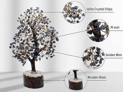 Iolite Natural Healing Premium Crystal Bonsai Feng Shui Fortune Money Tree of Life for Home Office Decor (Gift Box Ready,10-12 Inch)