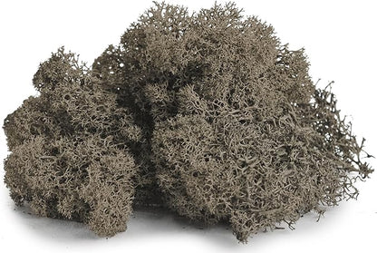 SuperMoss (25165) Reindeer Moss – Soft Preserved Moss for Home Decor, Crafts, Terrariums, Floral Design, and Wedding Decorations, 80.75 cu in, Cashmere