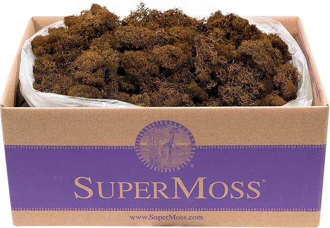 Super Moss (23095 Reindeer Moss Preserved, Brown, 3lbs