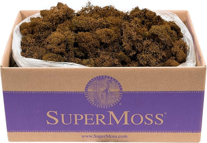 Super Moss (23095 Reindeer Moss Preserved, Brown, 3lbs