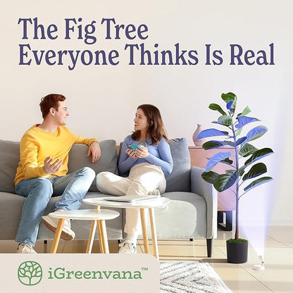 Artificial Fiddle Leaf Fig Tree 3ft (36 Inch) Tall - with Remote LED Spotlight - Realistic Faux Potted Plant & Moss for Living Room & Office Decor