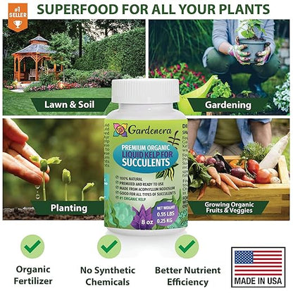 GARDENERA Premium Organic Seaweed & Kelp Superfood for Succulents & Cacti Plants - 8 oz - Liquid Kelp Fertilizer Concentrate (Makes 45 Gallons)