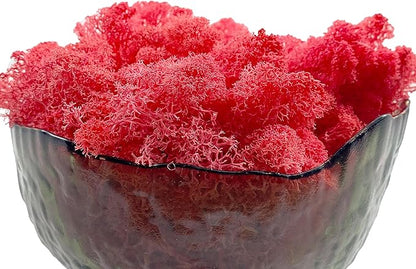 Moss Preserved Moss for Potted Plants Natural Fresh Green Reindeer Moss for Craft Arts Floral Wall Decor Decor Wedding Centerpieces Garden Artificial Terrariums Decoration for Christmas-Purple Red