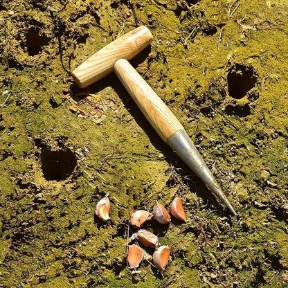 Seed Dibber Hand Dibber Bulb Planter Tool, Stainless Steel Garden Dibber with Wooden Handle for Planting Seeds, Bulbs, Tulips, Daffodils and Flowers