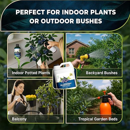 Leaves and Soul Professional Blueberry Fertilizer Liquid Concentrate - 6-4-6 Blend Liquid Garden Fertilizer for Blueberry - Plant Food for Blueberry Bushes and Plants - 32oz