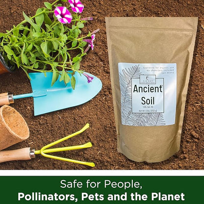 Elm Dirt Premium Ancient Soil for All Plants - Organic for Outdoor & Indoor Use | Garden Soil for Plant Nutrients Growth & Protect from Bugs - Roots Organic (6lbs)