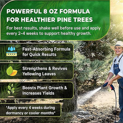 Leaves and Soul Professional Pine Tree Fertilizer Liquid Concentrate - 6-4-6 Blend for Pine, Garden Use - Liquid Plant Food for Pine Trees and Shrubs Outdoors - 8oz