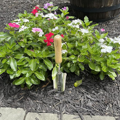 Garden Guru Eco Transplanter Trowel Shovel- 100% Recycled Stainless Steel - Rust Resistant - FSC Certified Wood Ergonomic Handle - Perfect Tool for Gardening Weeding Transplanting and Digging