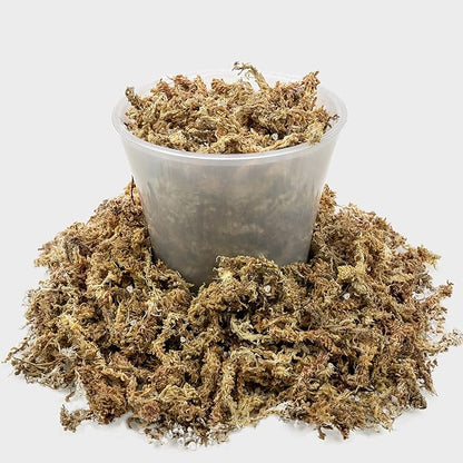Gardenera Sphagnum Moss Potting Mix for Carnivorous Plants, Moss and Perlite Blend for Potting Venus Fly Traps, Sarracenia, Pitcher Plants - 75% Sphagnum Moss + 25% Perlite - Made in USA - 2 Quart