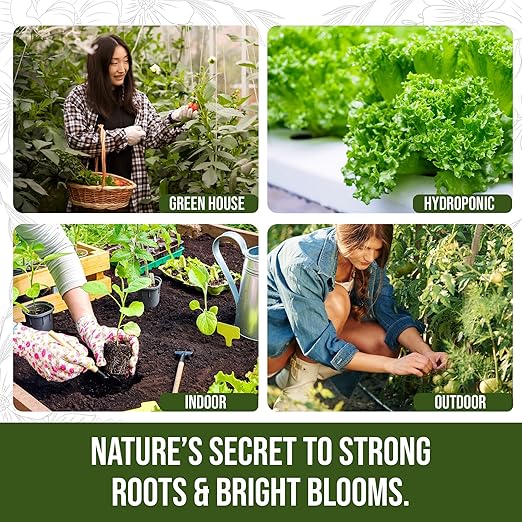 PlantVantage Root & Bloom Fertilizer - Concentrated Liquid Fertilizer for Strong Roots and Big Blooms - Bloom Plant Food for Trees, Shrubs, Flowers and Vegetables - Ideal Soil and Foliar Spray - 1 Gal