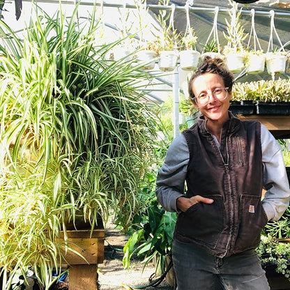 Smoke Camp Crafts 7 Live Plant Cuttings for Propagation, Queen of The Night Plant, Burro's Tail, Pencil Cactus, Spider, Snake, Mother of Thousands Green