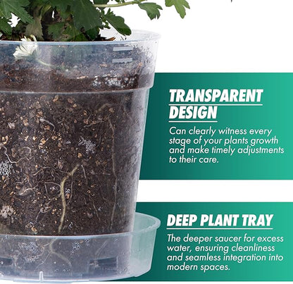 1 Gallon 6 Inch Clear Plastic Plant Pot with Drainage Holes, Interlocking & Detachable Tray - Deep Saucer - Durable BPA-Free Plastic, Transparent Design, Raised Base for Airflow, Set of 6, 92-X-A-6