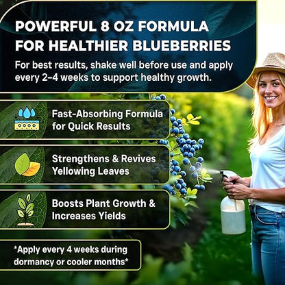 Leaves and Soul Professional Blueberry Fertilizer Liquid Concentrate - 6-4-6 Blend Liquid Garden Fertilizer for Blueberries - Plant Food for Blueberry Bushes and Plants - 8oz