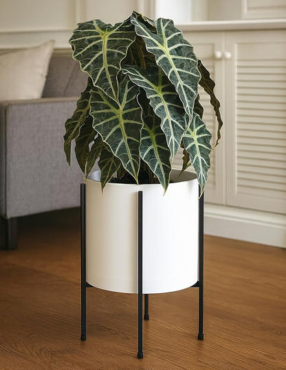 D'vine Dev 12 Inch White Planter Pot with Stand – Modern Plastic Cylinder Flower Pot with Heavy-Duty Metal Stand for Indoor Plants, 55-D-A-3