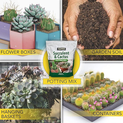 Harris Premium Succulent and Cactus Potting Soil Mix, Fast Draining with Added Nutrients, 4 Quarts