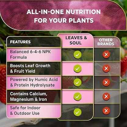 Leaves and Soul Professional Strawberry Fertilizer Liquid Concentrate - 6-4-6 Blend Liquid Garden Fertilizer for Strawberries - Plant Food for Strawberry Bushes and Plants - 32oz