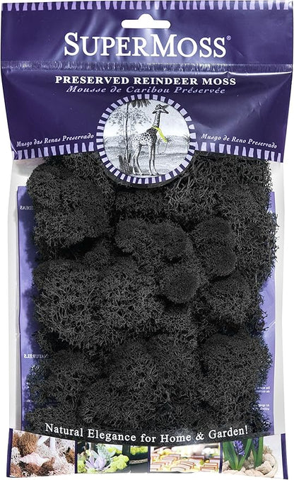 Super Moss (25123 Reindeer Moss Preserved, Black, 2oz