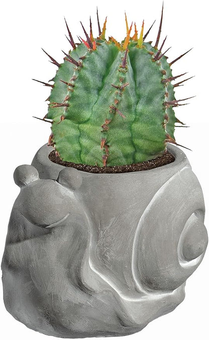 Classic Home and Garden Cement Buddies Animal Planter - Cute Desk Decoration - UV Coated Animal Vase w/Drain Plug - Succulent Plant Pot for Indoor/Outdoor Use (Snail Planter, Natural, Small)