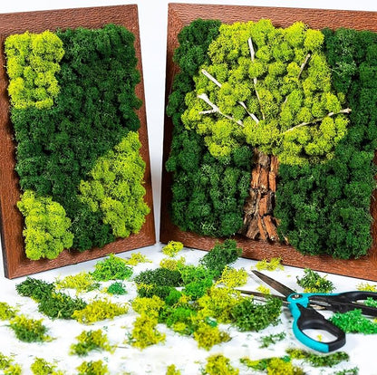 Jadive 21.2 oz Moss Preserved 1.32 Lbs Green Preserved Reindeer Moss Bulk Artificial Decorative DIY Kit for Craft Wall Decor Fairy Gardens Terrariums Art Project Table Floral Decor