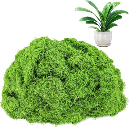 Anglekai 17.6 oz Artificial Moss for Crafts, Decorative Artificial Fake Green Moss for Plants Indoor(500 g) (17.6, Ounces)