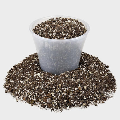 Premium African Violets and Gesneriad Premium Soil Mix by Gardenera - Horticultural Perlite (25%) + Vermiculite (25%) + Sphagnum Peat Moss (50%) - Made in USA - (1 Quart Bag)