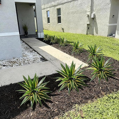 Artificial Agave Plant Fake Agave Planters for Indoor Outdoor Faux Agave Plants Real Touch Realistic Greenery for Home Living Room Office Bathroom Garden Front Porch Patio Decor (17inch-2 Pcs Yellow)