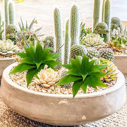 Agusbagli 2pcs Succulents Plants Artificial Aloe Plant, 14in Large Real Touch Succulents Unpotted Faux Agave Greenery Plants for DIY Home Wedding Garden Office Outdoor Decoration