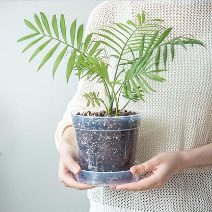 6 Inch Clear Plastic Plant Pot with Drainage Holes, Interlocking & Detachable Tray - Deep Saucer - Durable BPA-Free Plastic, Transparent Design, Raised Base for Airflow, Set of 6, 92-X-A-5