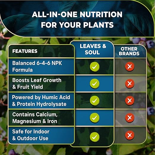 Leaves and Soul Professional Blueberry Fertilizer Liquid Concentrate - 6-4-6 Blend Liquid Garden Fertilizer for Blueberry - Plant Food for Blueberry Bushes and Plants - 32oz