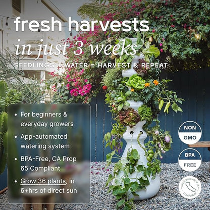 Farmstand Starter Kit + 36 Seedling Credits | Large Hydroponic Growing System Kit | Self-Watering Outdoor Vertical Garden Planter Tower | 6ft 1in | Made in USA