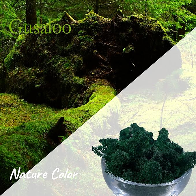 Moss Preserved Artificial Moss Natural Fresh Green Moss for Craft Arts Floral Project Wall Decor Table Decor Wedding Centerpieces Garden Terrariums Decoration -Dark Green 3.5OZ