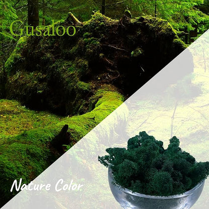 Moss Preserved Artificial Moss Natural Fresh Green Moss for Craft Arts Floral Project Wall Decor Table Decor Wedding Centerpieces Garden Terrariums Decoration -Dark Green 3.5OZ