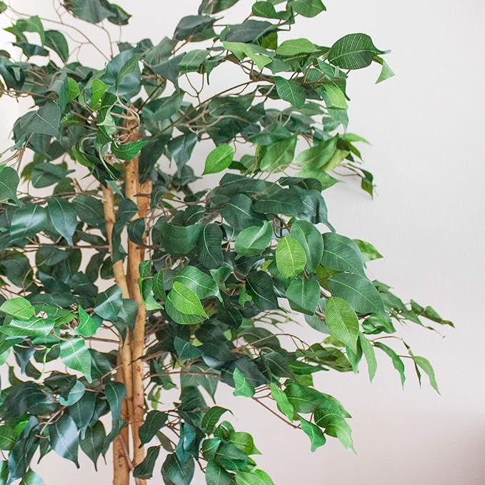 Nearly Natural 5ft Triple Trunk Artificial Ficus Tree with Natural Wood Trunks, Fake Tree for Indoor Home Décor, Faux Ficus Tree with Black Nursery Pot