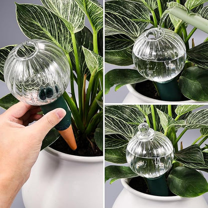 12 oz Plant Watering Globes Top Fill, Clear Glass Water Bulbs with Terracotta Spikes Stake, Vacation Slow Release Self Watering Planter Insert, Automatic Drip Device, 1 Pack
